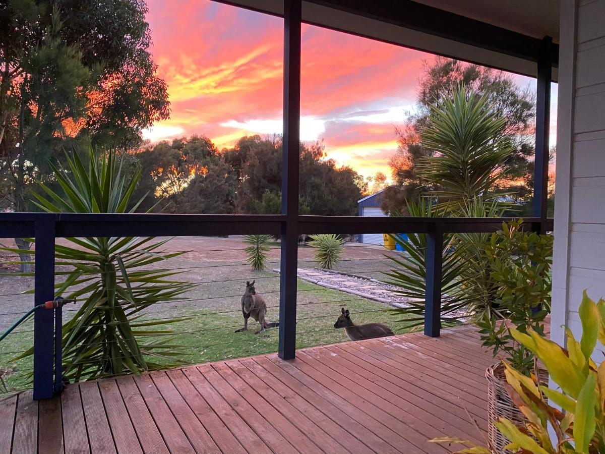 קינגסקוטה Kangaroo Island Cabins מראה חיצוני תמונה