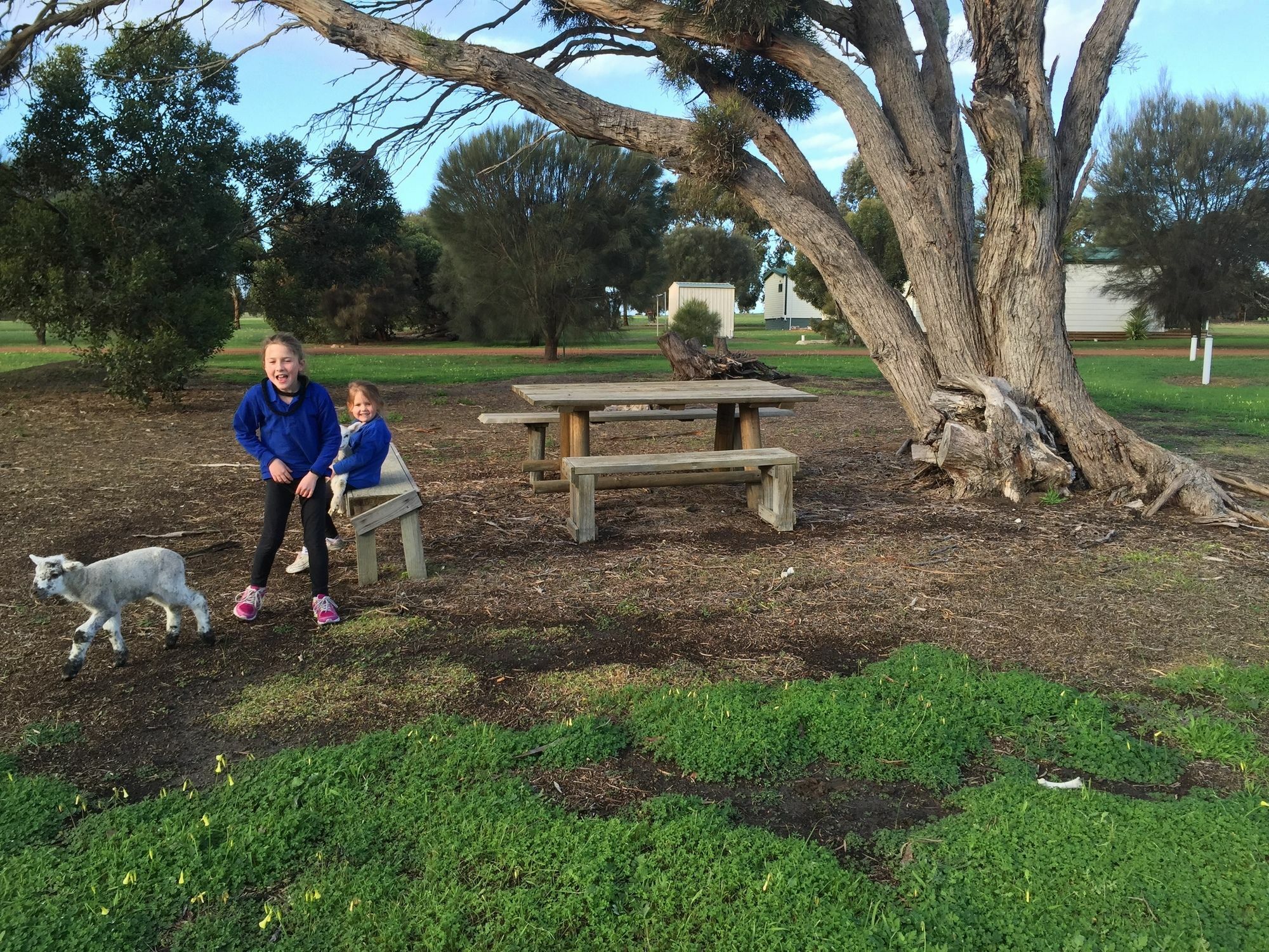 קינגסקוטה Kangaroo Island Cabins מראה חיצוני תמונה